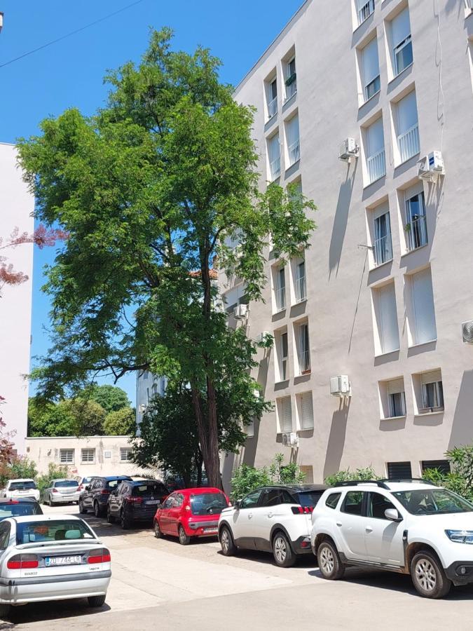 Marinero Apartment Zadar Bagian luar foto